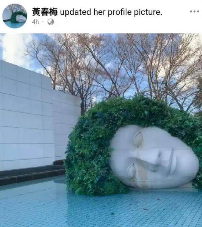 温泉开心化妆大姐徐熙娴也在网友曝细节冰球突破正规网站大S尸骨未寒小S日本(图14)