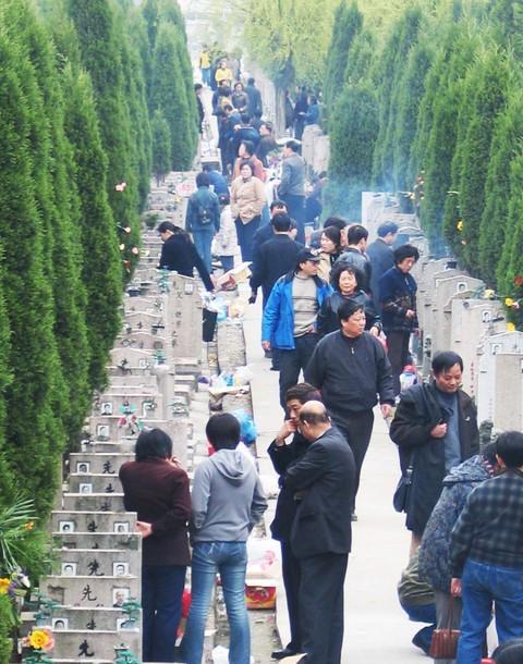 家庭的遮羞布哪家有本事一眼就能看出来冰球突破游戏网站今年清明节揭开了不少(图5)