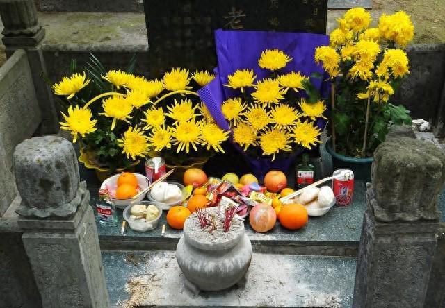 家庭的遮羞布哪家有本事一眼就能看出来冰球突破游戏网站今年清明节揭开了不少(图3)