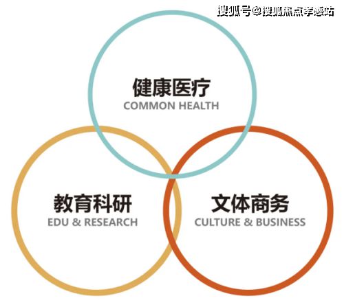 语前湾售楼处发布：真实情况解析！冰球突破◈中国铁建花语前湾 花(图22)