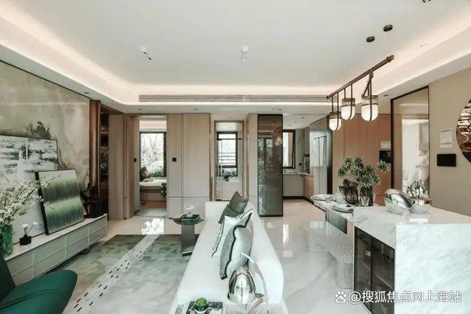 025中环铂樾)网站-优缺点分析冰球突破平台中环铂樾权威发布(2(图21)