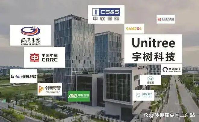 025中环铂樾)网站-优缺点分析冰球突破平台中环铂樾权威发布(2(图20)