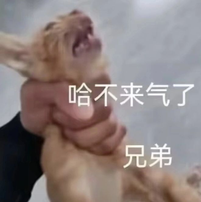 影片的大罪人监狱都被民间礼物塞满了…冰球