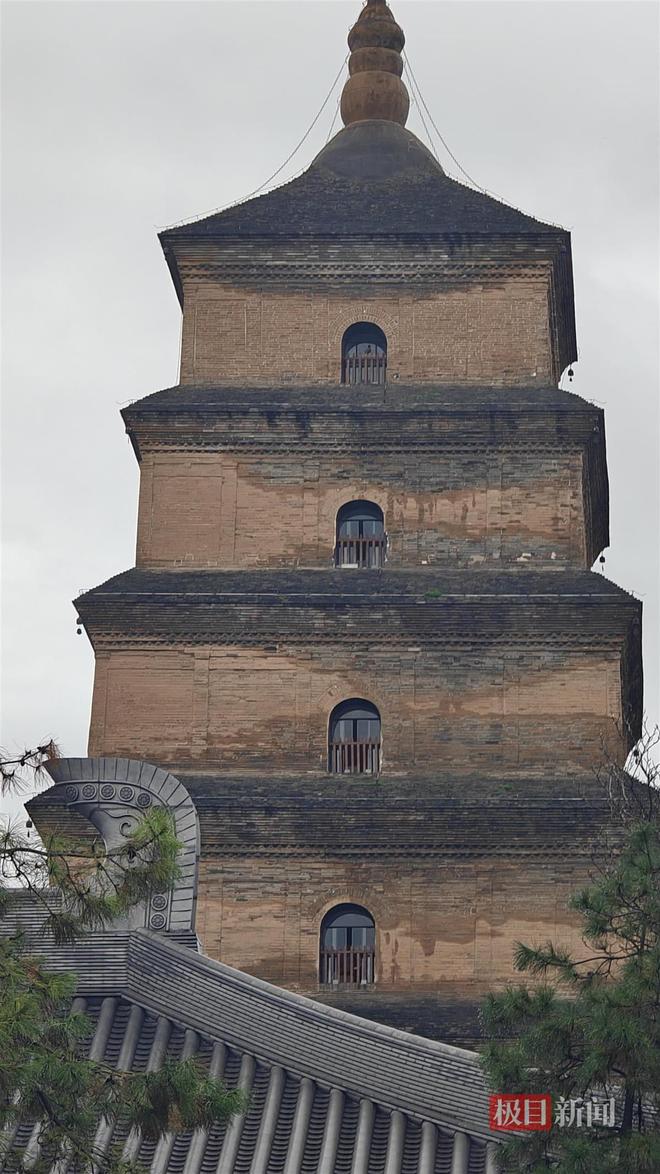 地长蘑菇大雁塔受潮城墙布满青苔气象局解释成因冰球突破豪华版app西安连续一个多月降雨遍(图2) 地长蘑菇大雁塔受潮城墙布满青苔气象局解释成因冰球突破豪华版app西安连续一个多月降雨遍(图2)