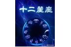 门下周起钱财运势一片大好收入翻倍涨冰球突